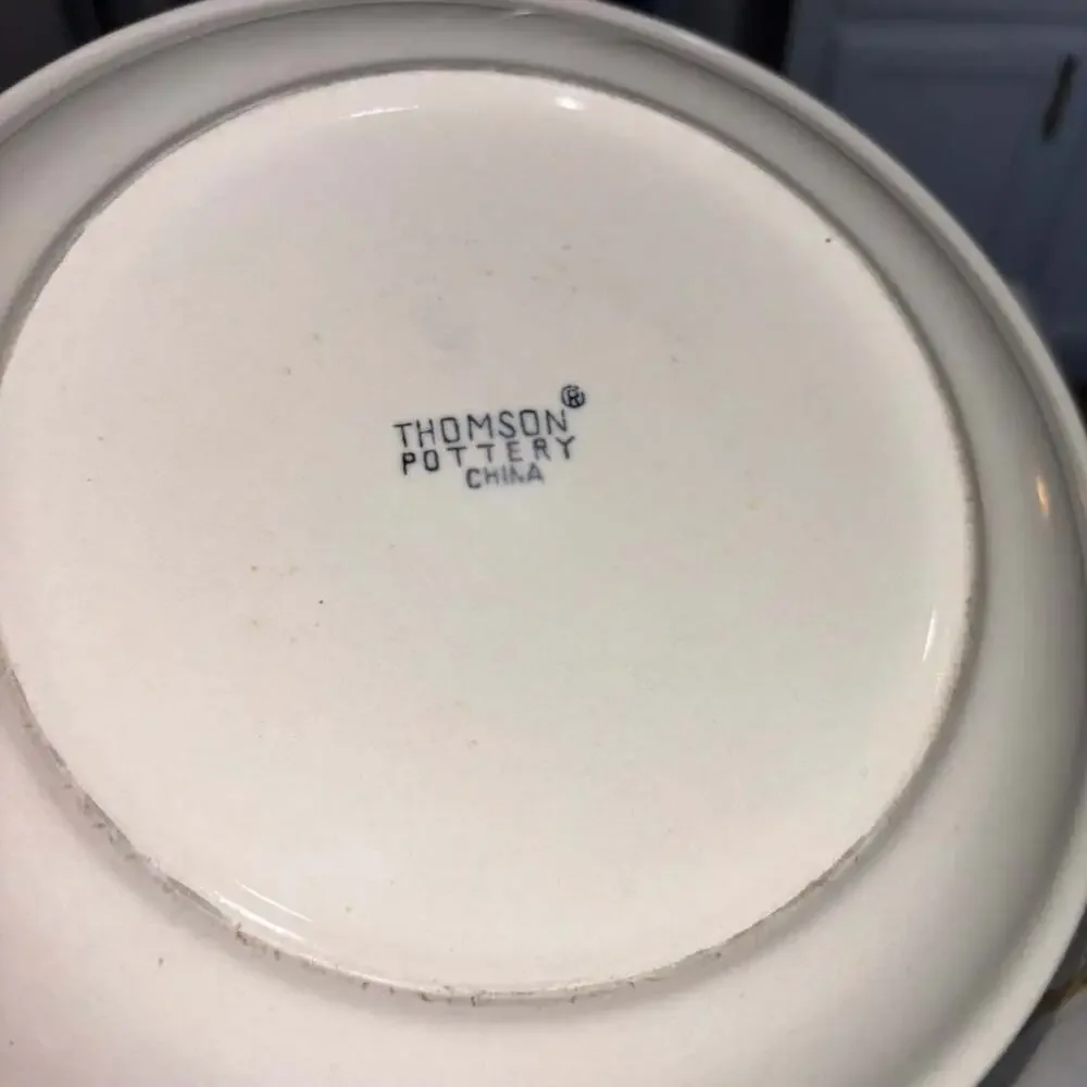 Thomson Pottery Birdhouse Pattern Dinner Plates 10.25” (6)
